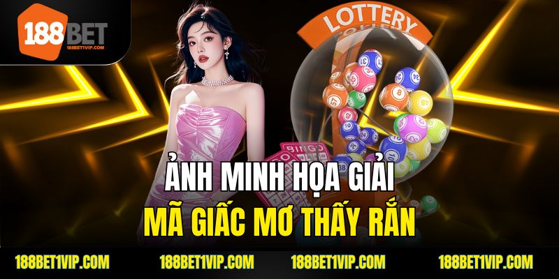Hiểu ý nghĩa các giấc mơ gặp rắn thường gặp.
