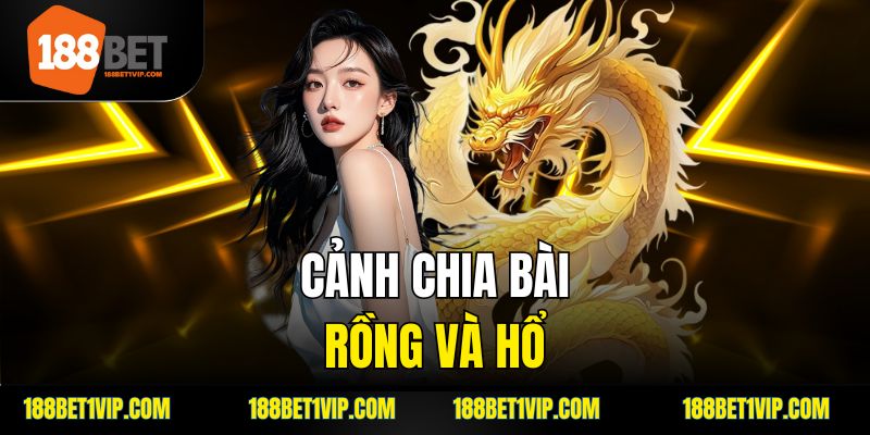 cảnh chia bài rồng và hổ