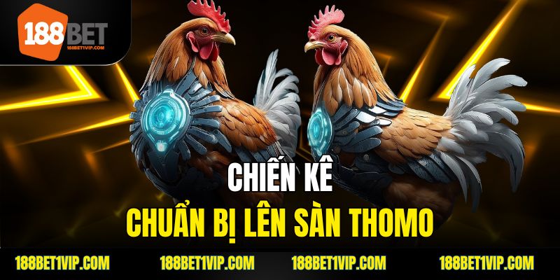 Đá gà Thomo là gì và có gì đặc biệt?