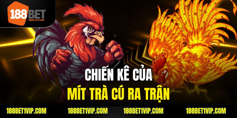 Trận đá gà 24 tỷ và sức hút đặc biệt của nó.