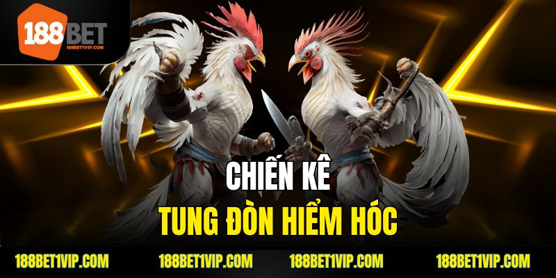 Khám phá đá gà đòn tại nhà cái 188Bet chi tiết.