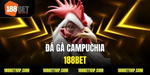 Đá Gà Campuchia 188bet Trải Nghiệm Đỉnh Cao Cùng Đấu Trường Thực Tế