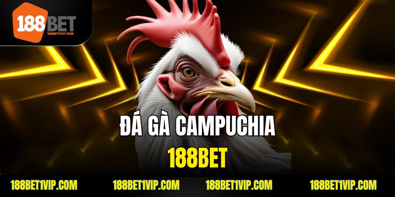 Đá Gà Campuchia 188bet Trải Nghiệm Đỉnh Cao Cùng Đấu Trường Thực Tế