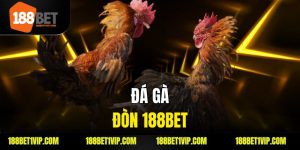 Đá Gà Đòn 188bet Sân Chơi Cá Cược Hấp Dẫn Cho Người Yêu Gà Chiến