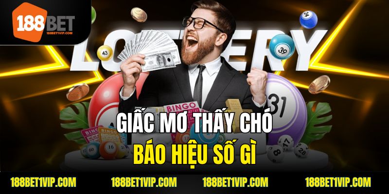 Giải mã các trường hợp mơ gặp chó phổ biến và ý nghĩa của chúng.