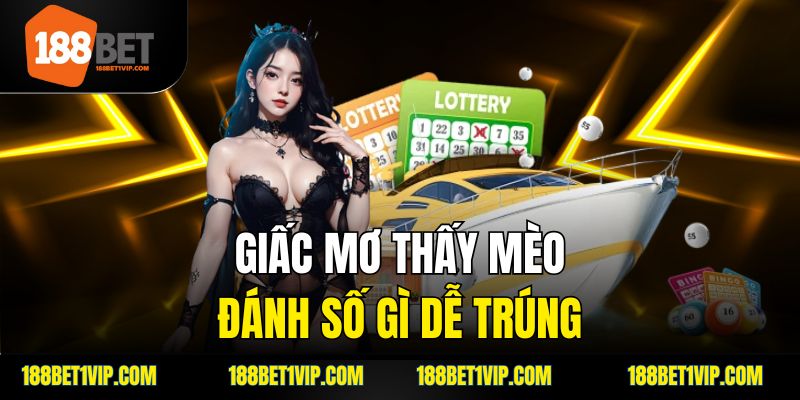Giải mã giấc mơ nhìn thấy mèo qua lăng kính tâm linh và tâm lý.