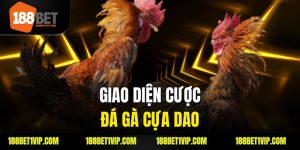 giao diện cược đá gà cựa dao