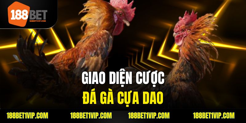 giao diện cược đá gà cựa dao