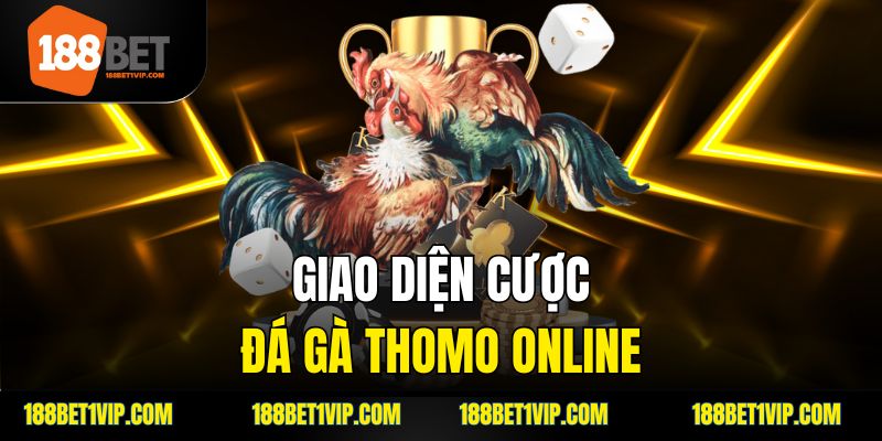 Cách chọn gà Thomo chất lượng để tham gia đá.