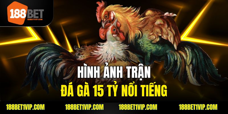 Diễn biến trận đá gà 24 tỷ đầy kịch tính và mạo hiểm.