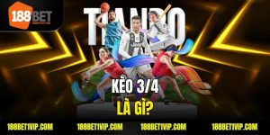 Kèo 3/4 Là Gì? Tìm Hiểu Chi Tiết Về Kèo Chấp 3/4