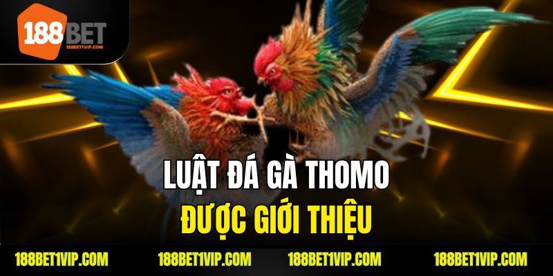 Chiến thuật hiệu quả khi tham gia đá gà.