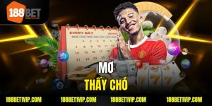 Mơ Thấy Chó Là Điềm Gì Giải Mã Giấc Mơ Nhìn Thấy Chó Đầy Đủ Nhất