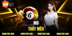 Mơ Thấy Mèo Là Điềm Gì Giải Mã Giấc Mơ Nhìn Thấy Mèo Chính Xác Nhất