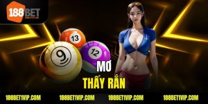 Mơ Thấy Rắn Là Điềm Gì Giải Mã Chi Tiết Giấc Mơ