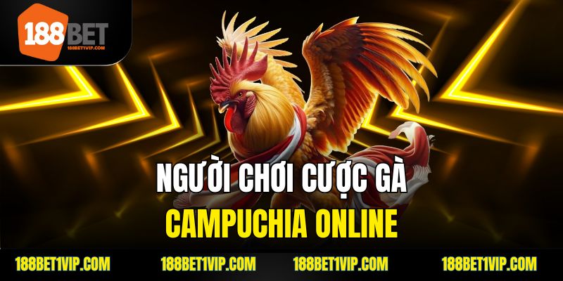 Vì sao nên chơi đá gà Campuchia tại 188Bet?
