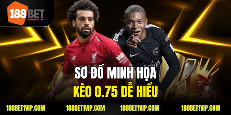 Kèo 3/4 là gì và cách tính kèo trong cá cược.