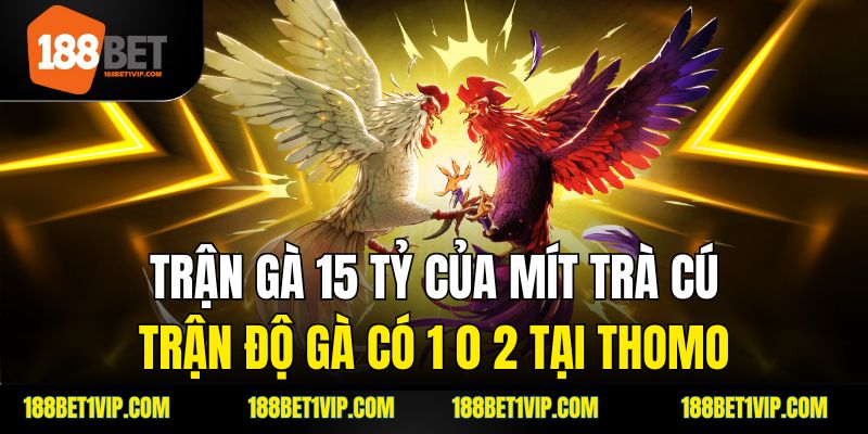 Trận Đá Gà 24 Tỷ - Cuộc Chơi Nguy Hiểm Và Những Điều Cần Biết