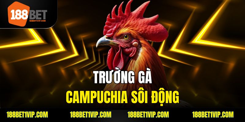 Bí quyết chơi đá gà Campuchia tại 188Bet hiệu quả.