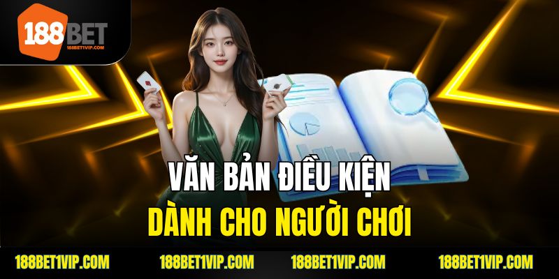 Các điểm trọng tâm trong điều khoản và điều kiện 188bet